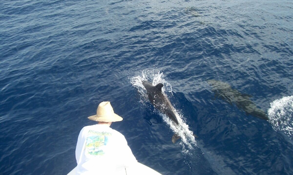 Photo of Others in Islamorada