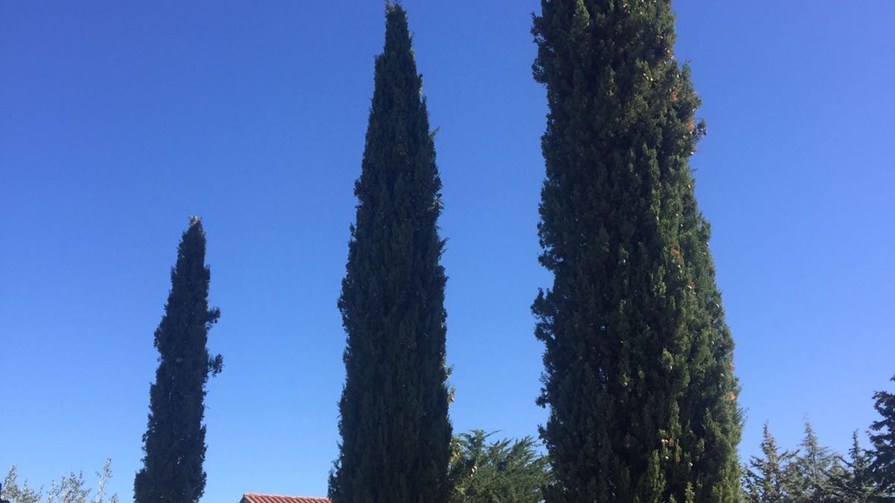 Photo of Outdoor in Pomarance