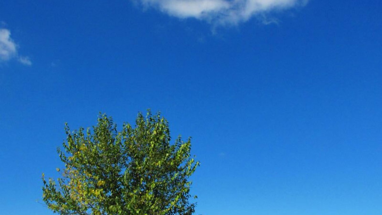 Photo of Outdoor in Pomarance