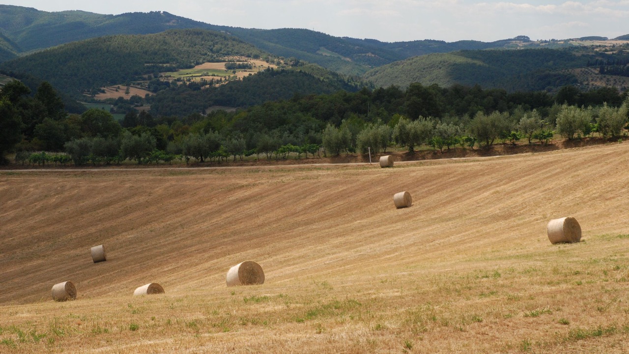 Photo of Others in Motina