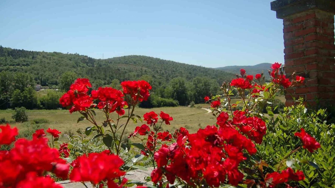 Photo of Outdoor in Badia Agnano