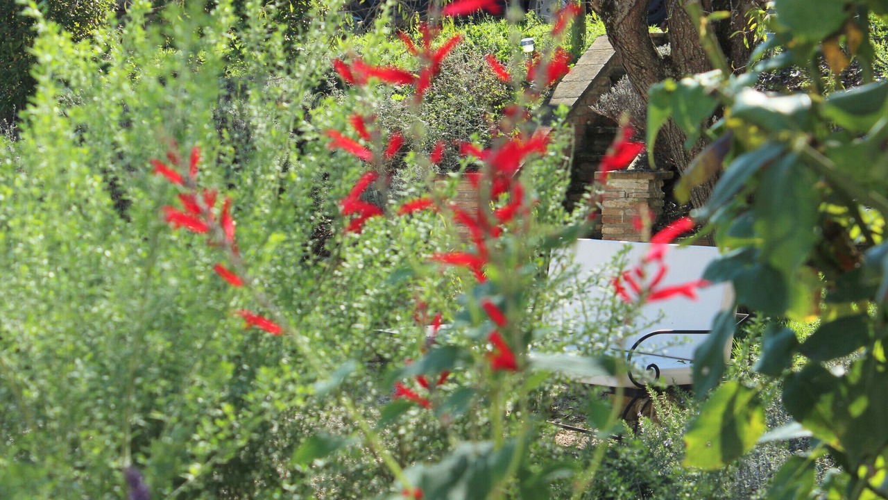 Photo of Outdoor in Montone