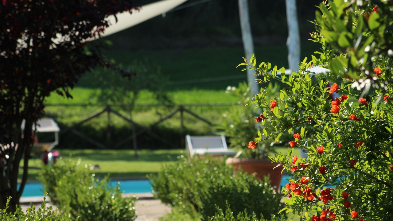 Photo of Outdoor in Montone