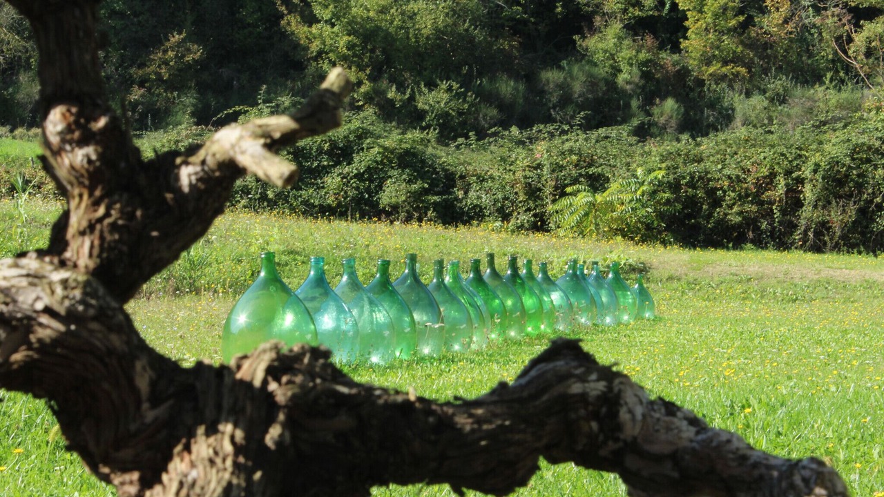 Photo of Outdoor in Montone