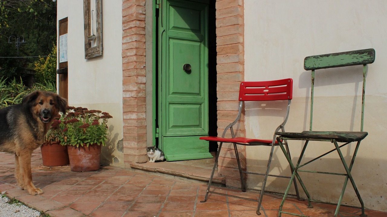 Photo of Outdoor in Montone