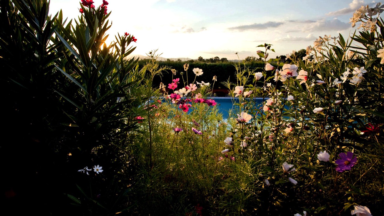 Photo of Outdoor in Montegabbione