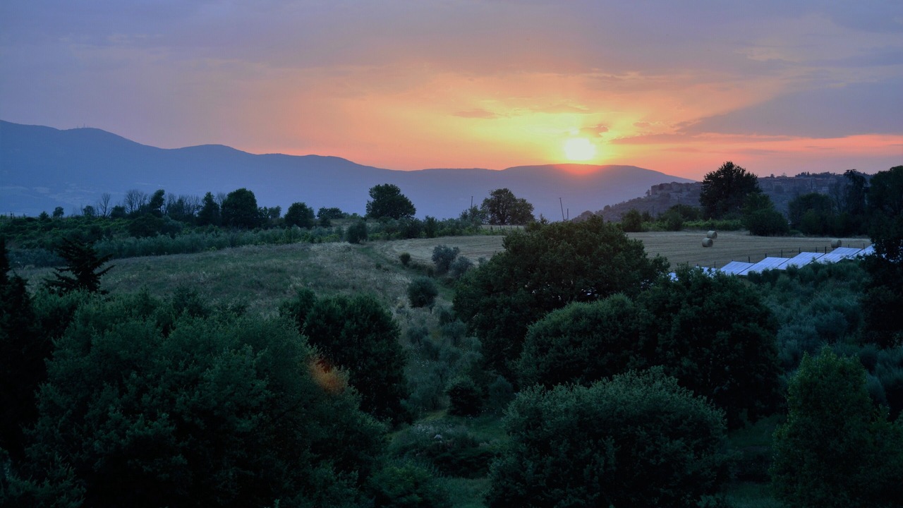 Photo of Others in Montegabbione