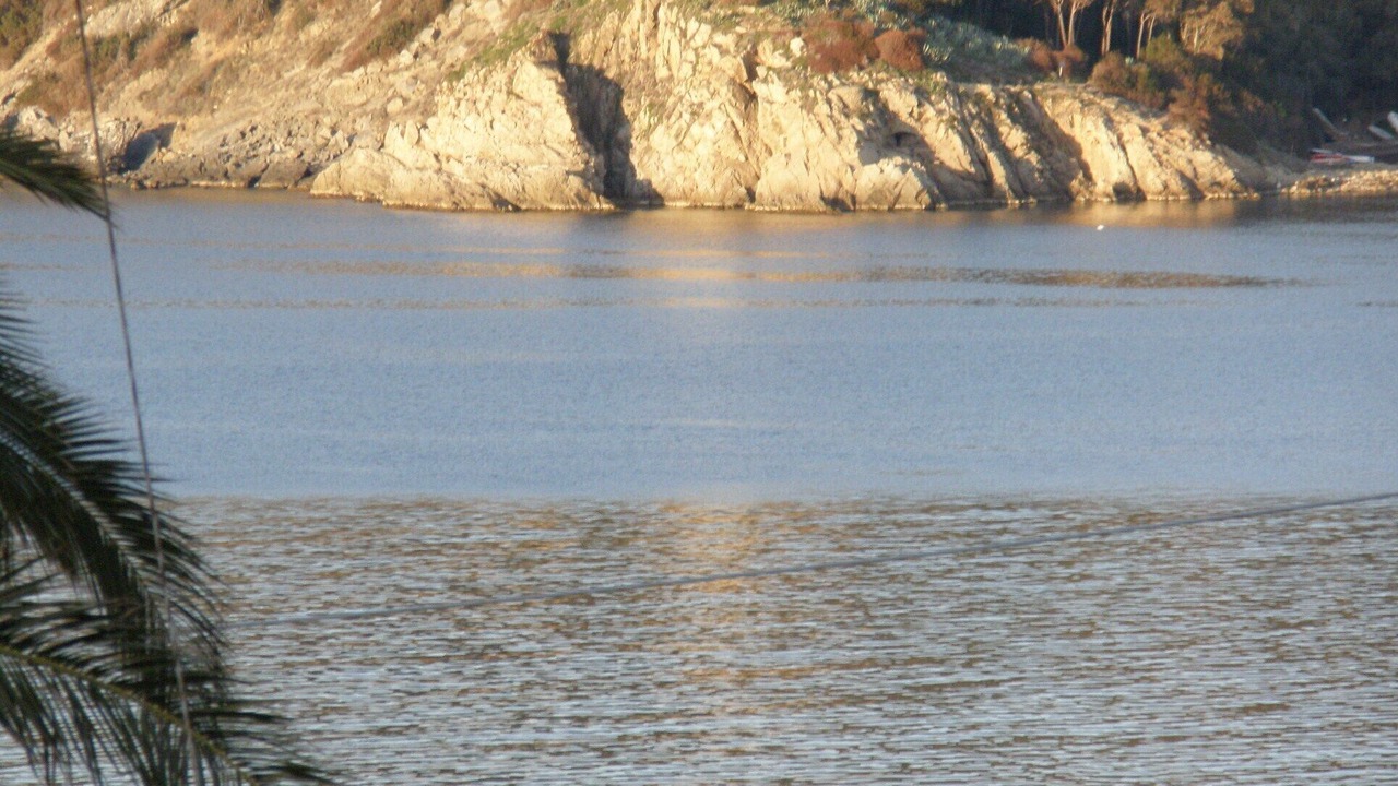 Photo of Others in Procchio