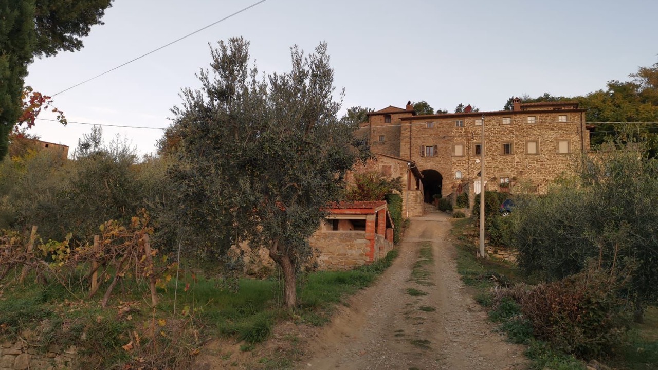 Photo of Outdoor in Capolona