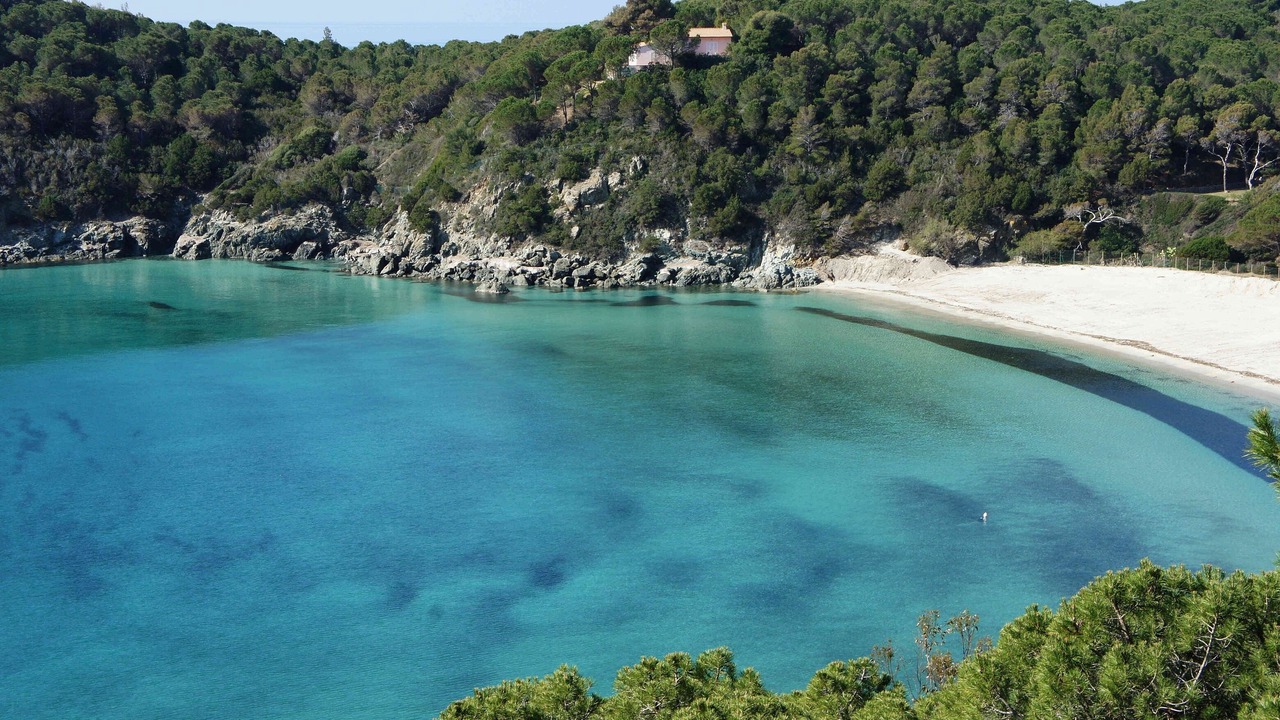 Photo of Others in Campo nell'Elba