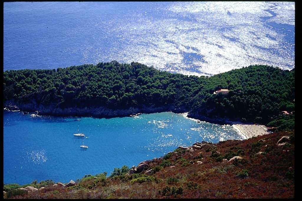 Photo of Others in Campo nell'Elba