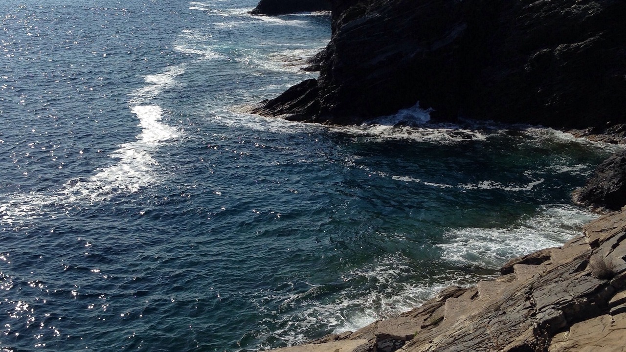 Photo of Others in Campo nell'Elba