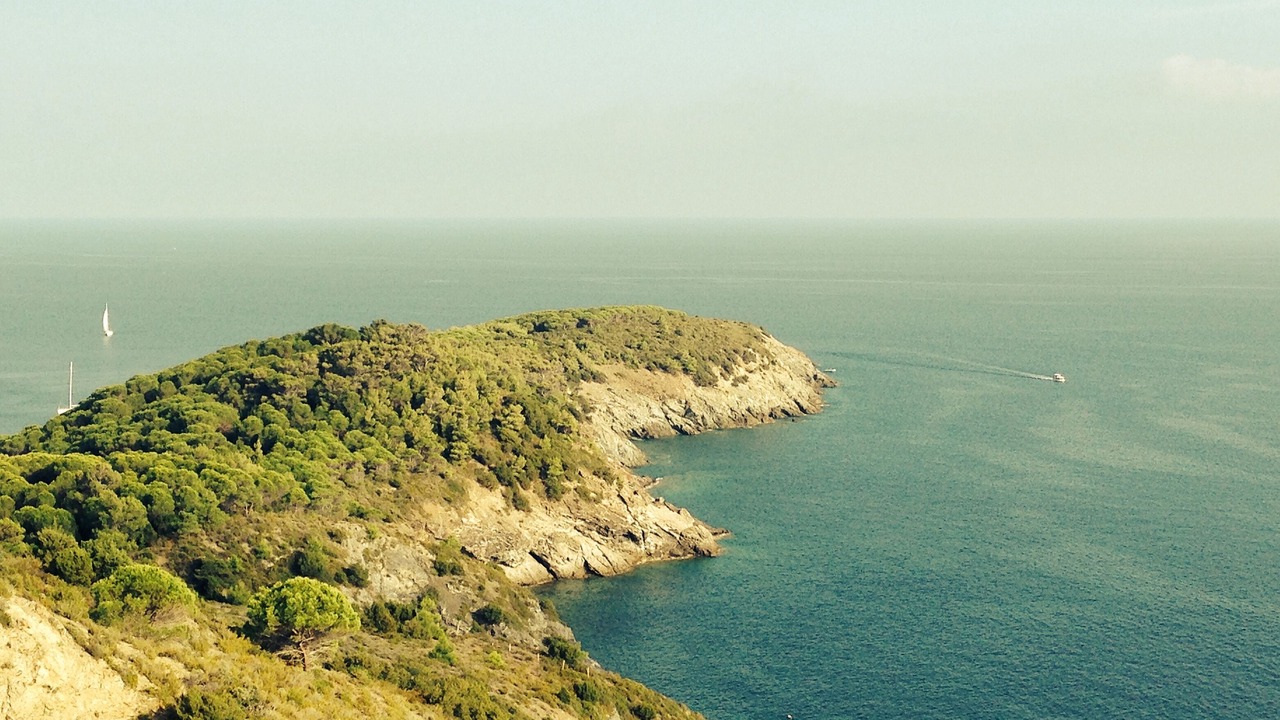 Photo of Others in Campo nell'Elba