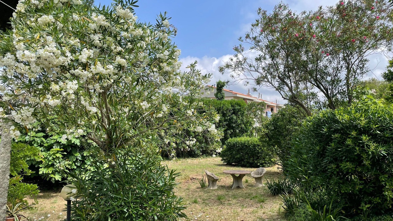 Photo of Outdoor in Marina di Campo