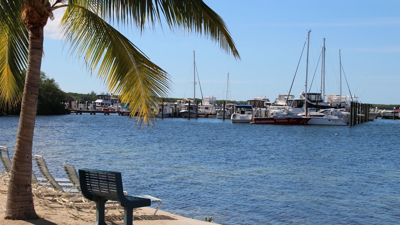 Photo of Others in Islamorada