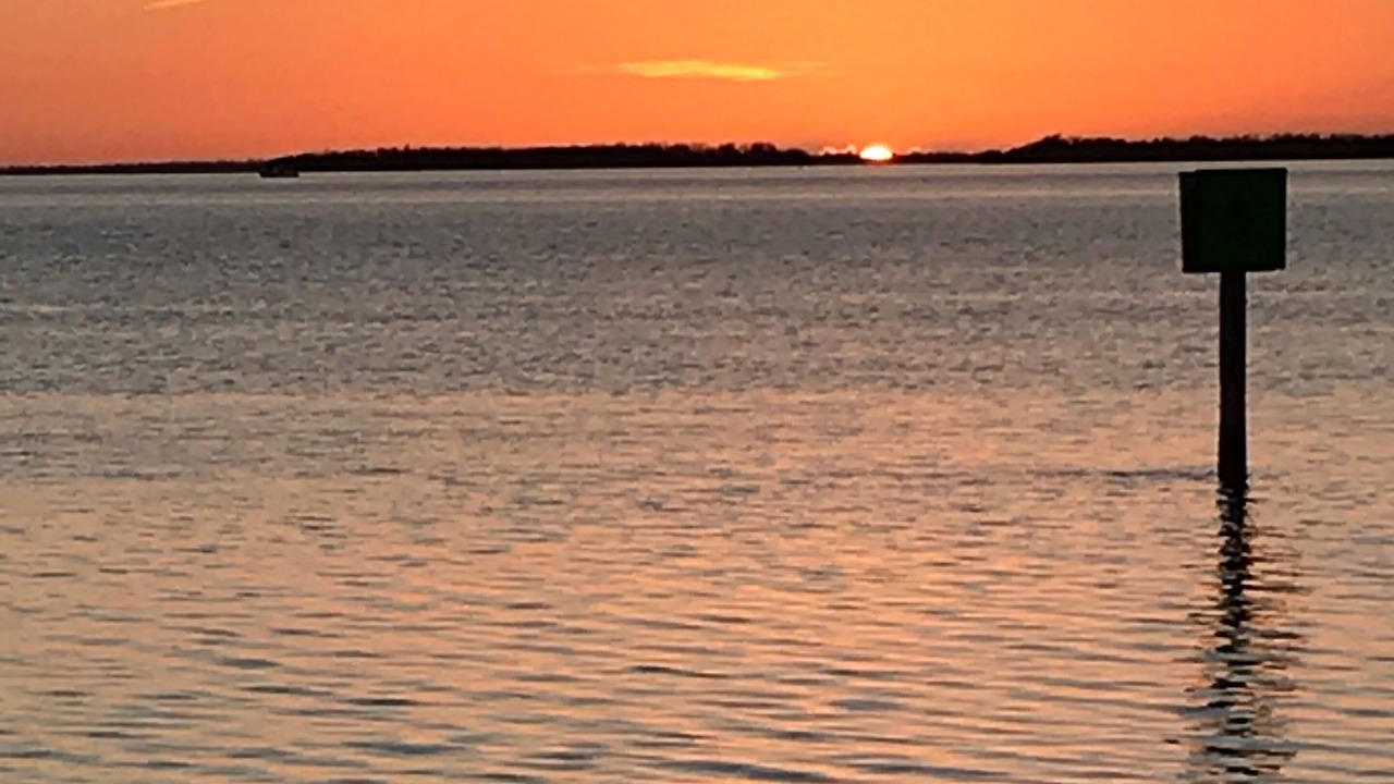 Photo of Others in Summerland Key