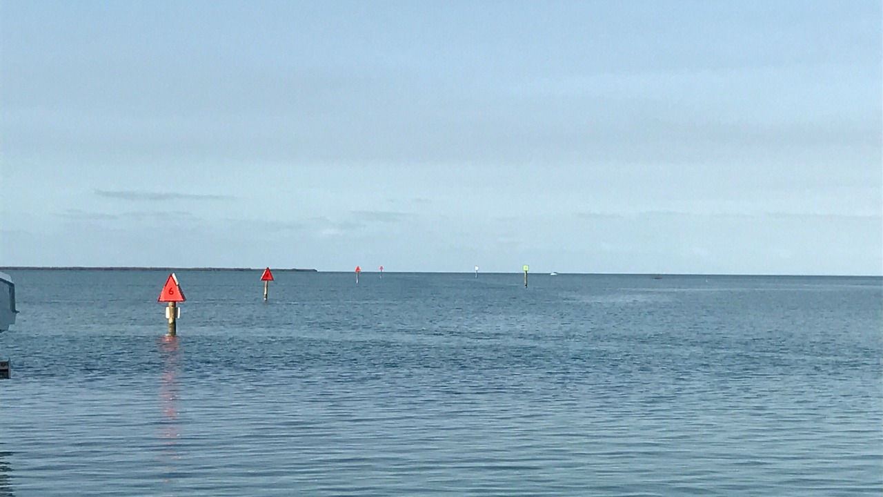 Photo of Others in Summerland Key