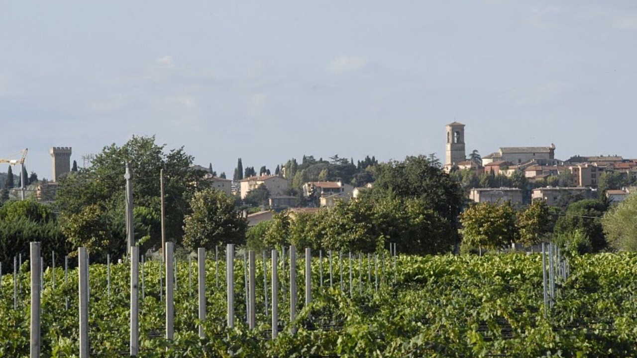 Photo of Others in Torgiano