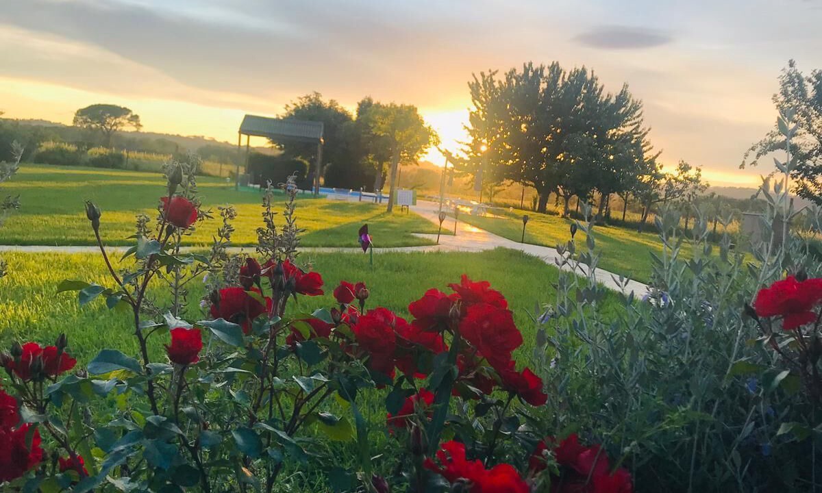 Photo of Outdoor in Torgiano