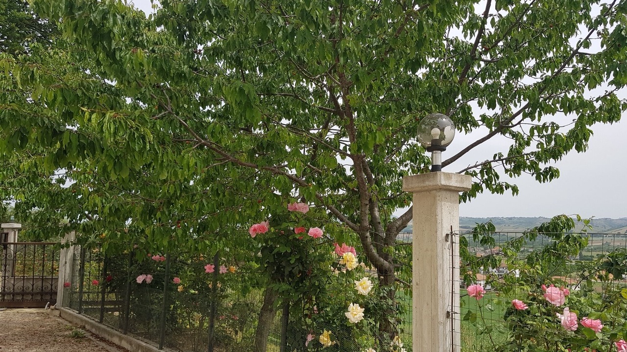 Photo of Outdoor in Notaresco