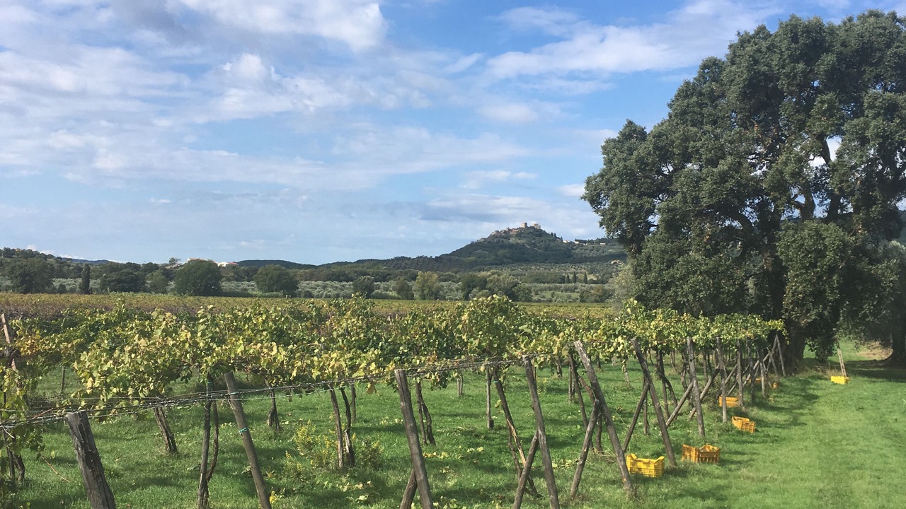 Photo of Outdoor in Roccastrada