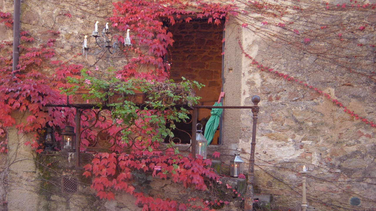 Photo of Outdoor in Roccastrada