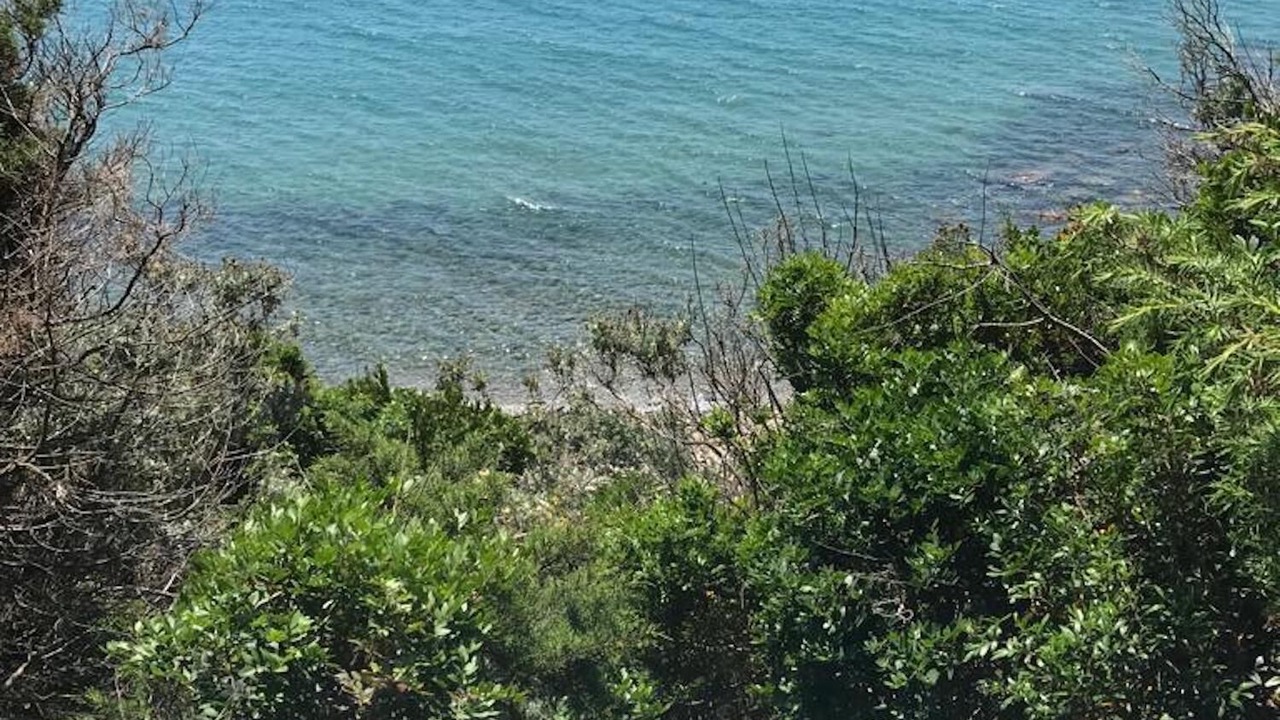 Photo of Others in Punta Ala