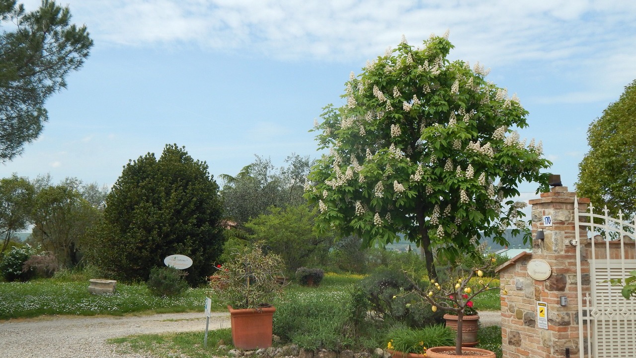 Photo of Outdoor in Siena