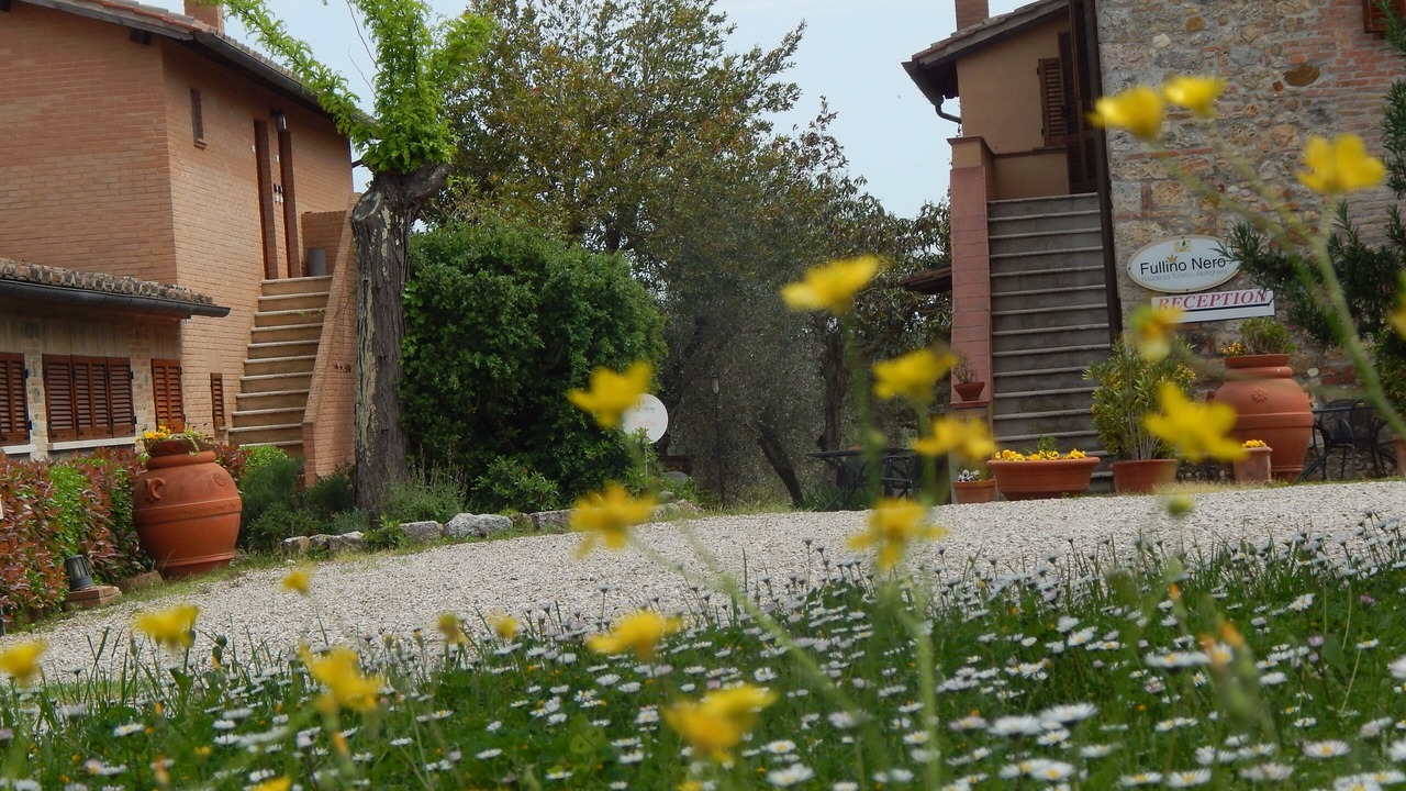 Photo of Outdoor in Siena