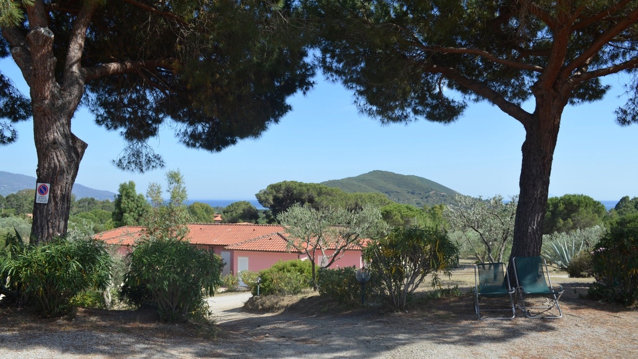 Photo of Outdoor in Lacona