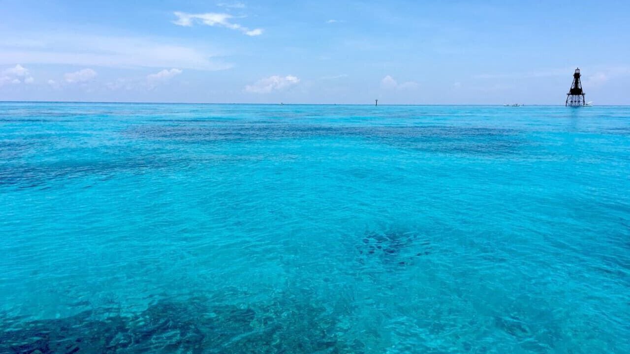 Photo of Others in Cudjoe Key