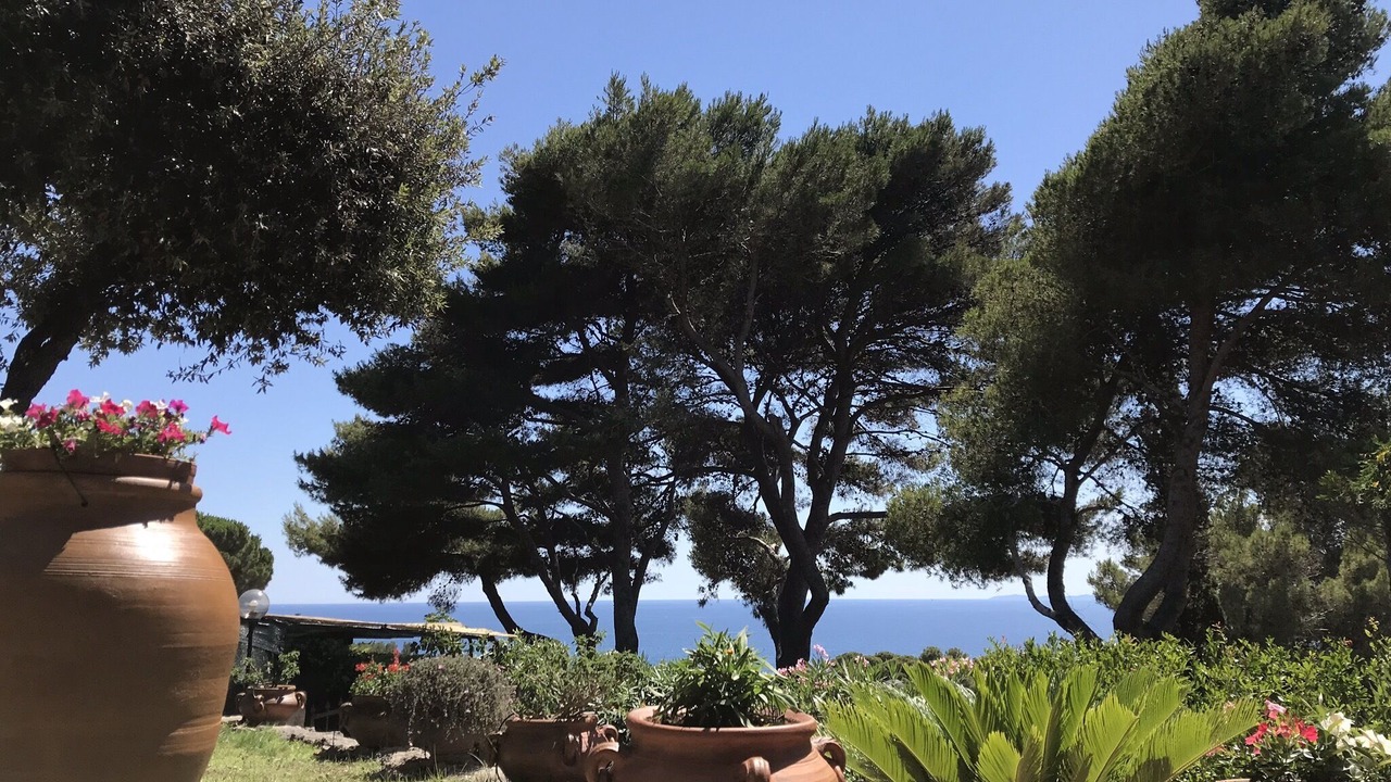 Photo of Outdoor in Ansedonia