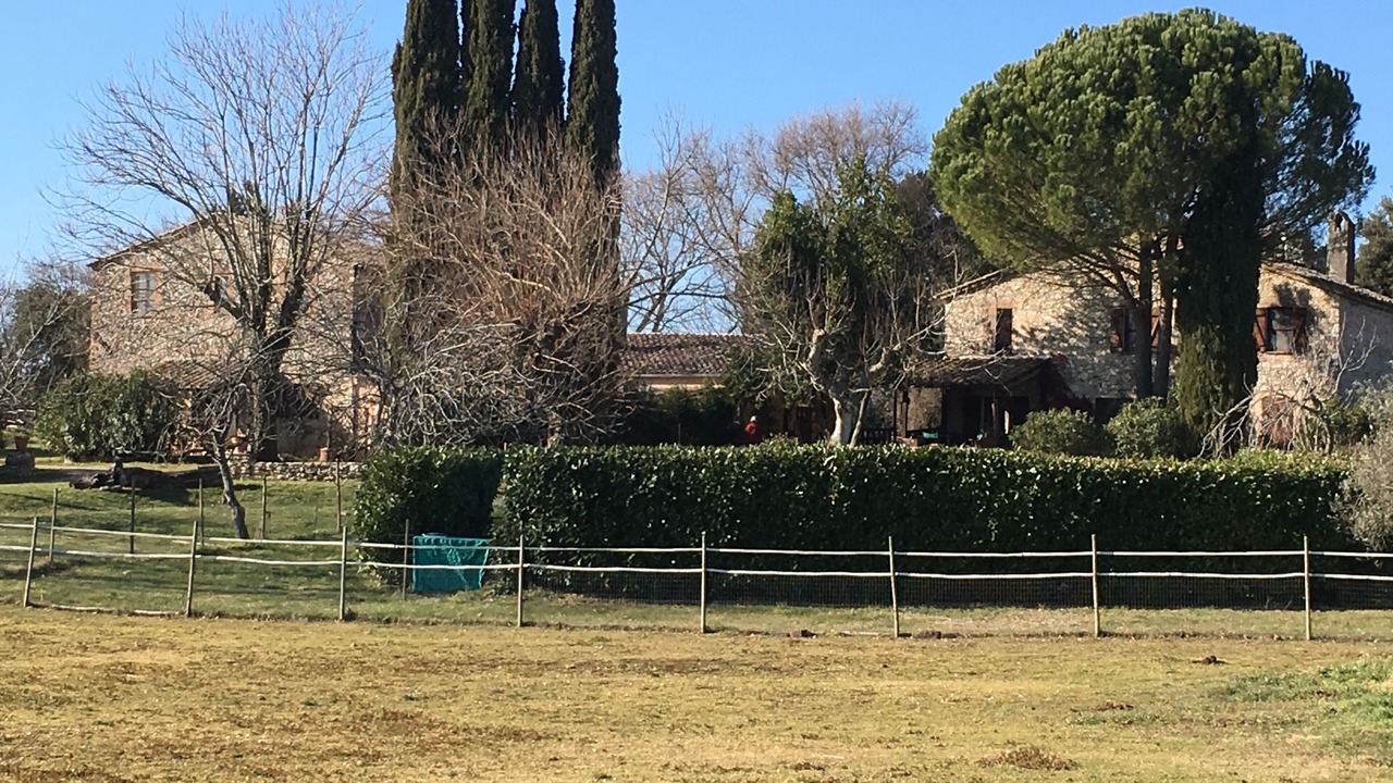 Photo of Outdoor in Amelia
