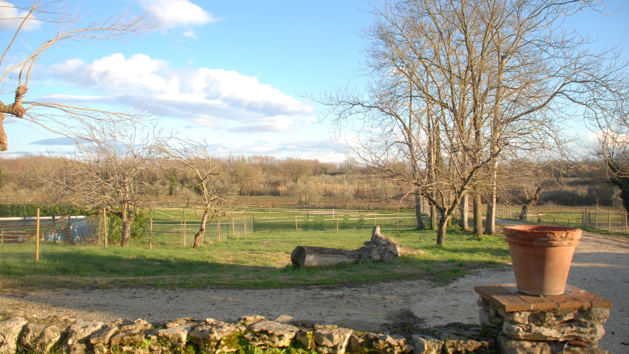 Photo of Outdoor in Amelia