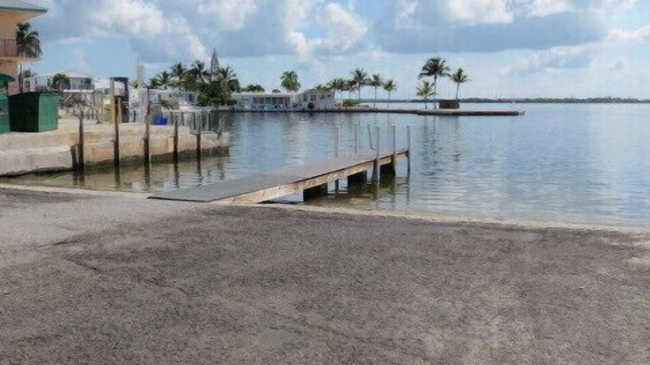 Photo of Others in Cudjoe Key