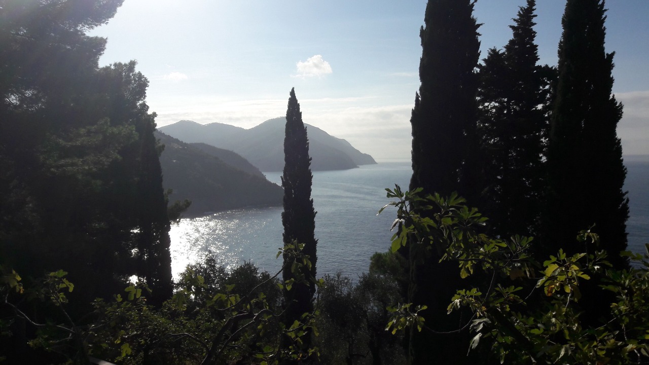 Photo of Others in Bonassola