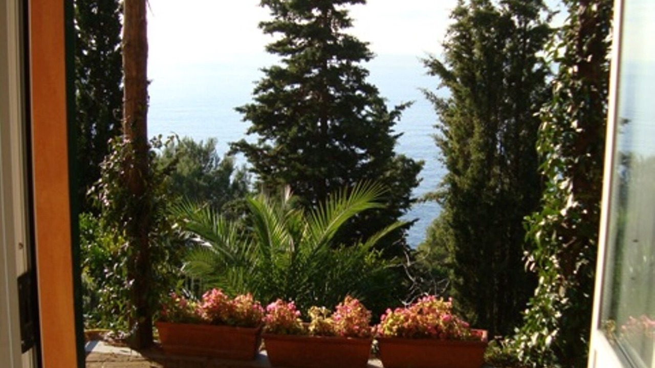 Photo of Others in Bonassola