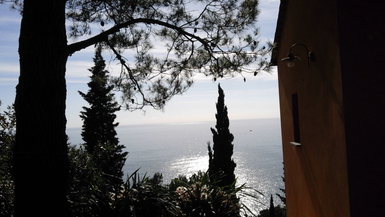 Photo of Others in Bonassola