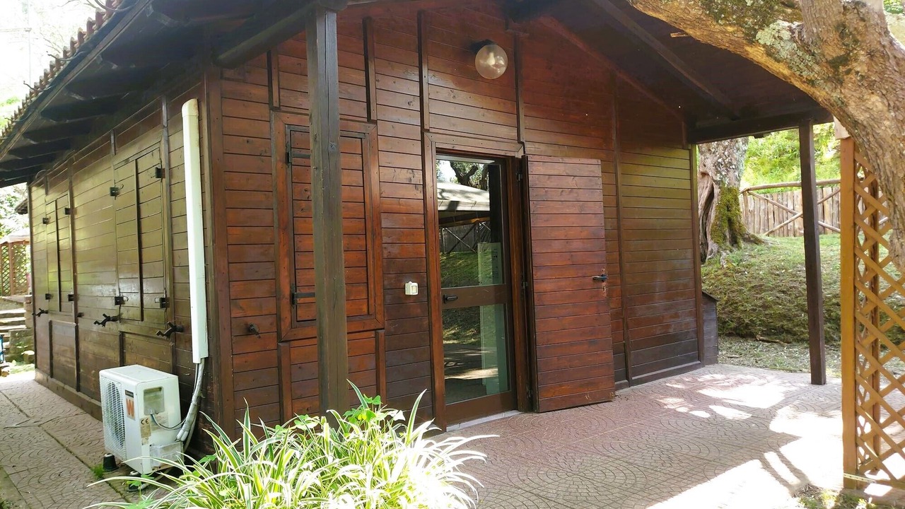 Photo of Outdoor in Lake Bracciano