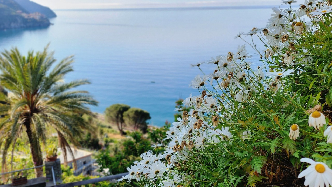 Photo of Others in Corniglia