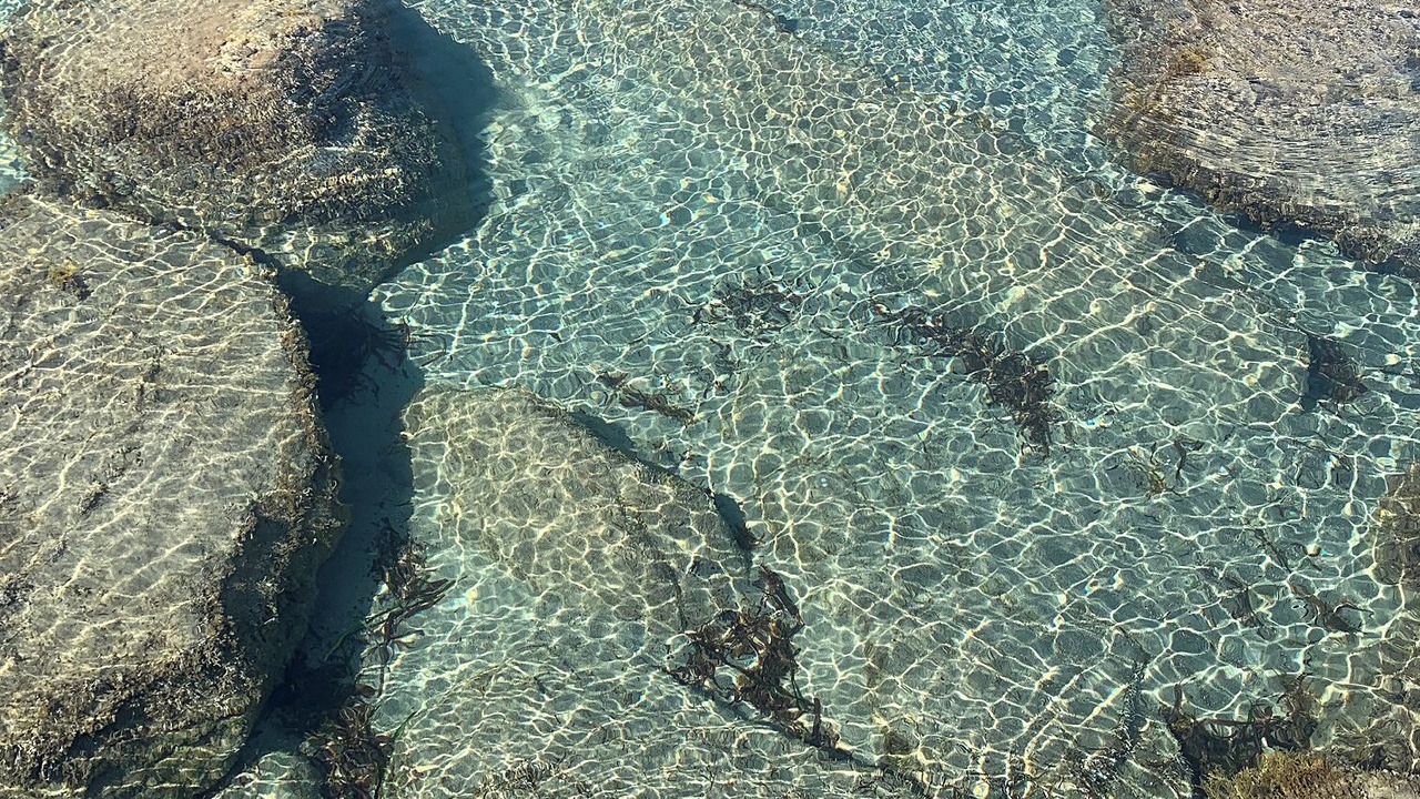 Photo of Others in San Lorenzo al Mare