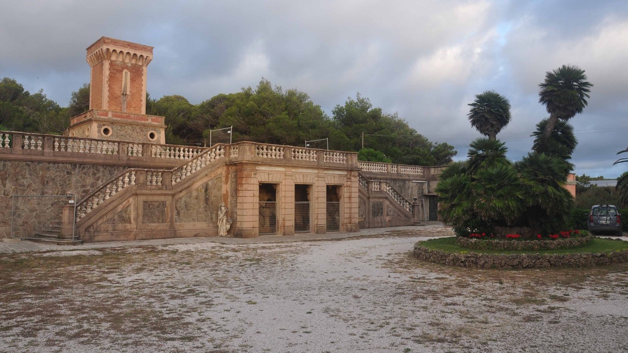 Photo of Outdoor in Donoratico