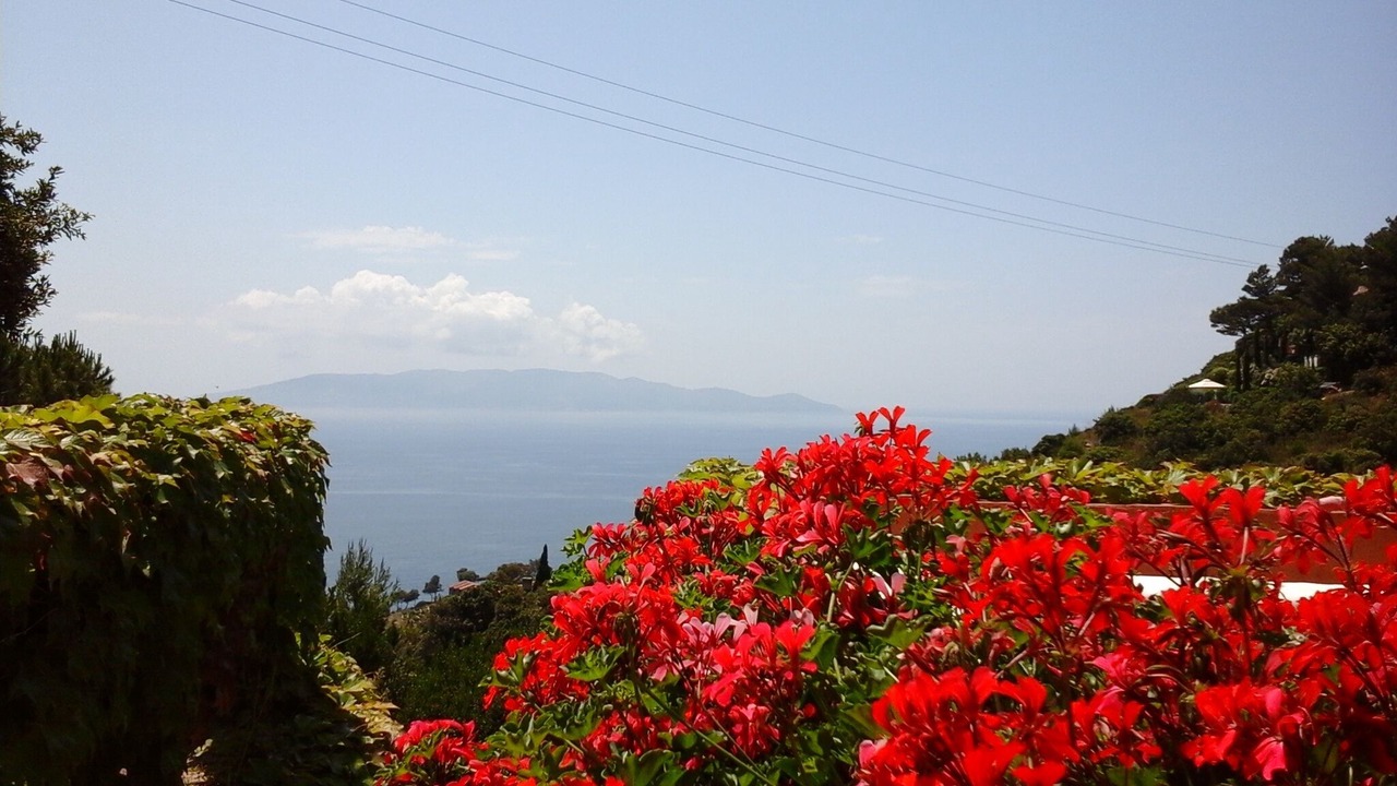 Photo of Outdoor in Cala Piccola