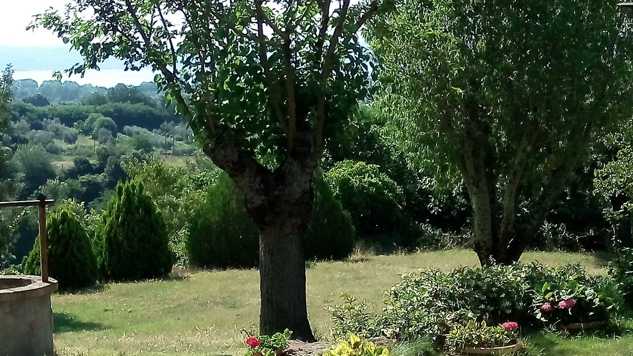 Photo of Outdoor in San Lorenzo Nuovo