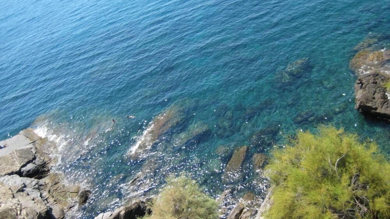 Photo of Others in Nervi