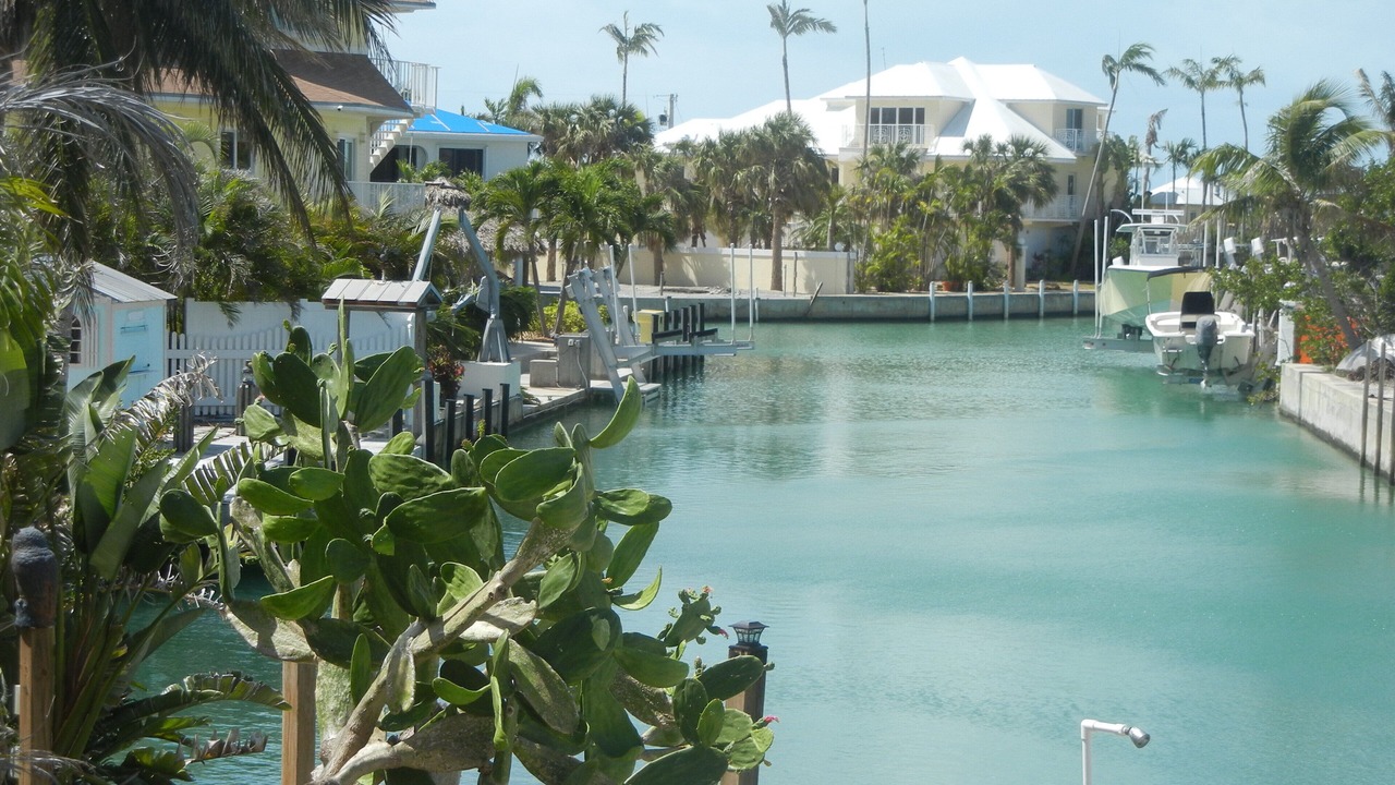 Photo of Others in Summerland Key