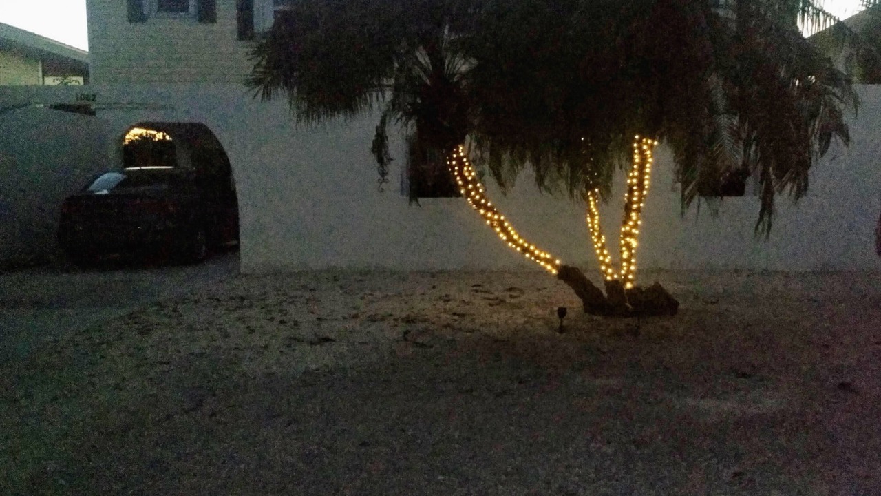 Photo of Others in Summerland Key
