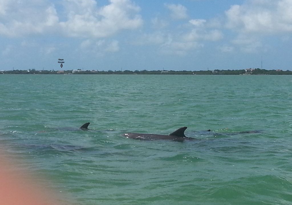 Photo of Others in Cudjoe Key
