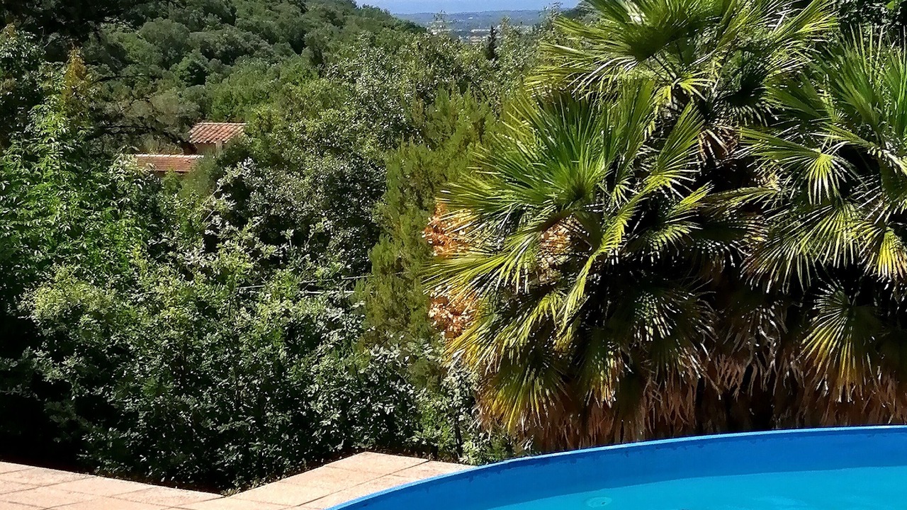 Photo of Outdoor in Castagneto Carducci