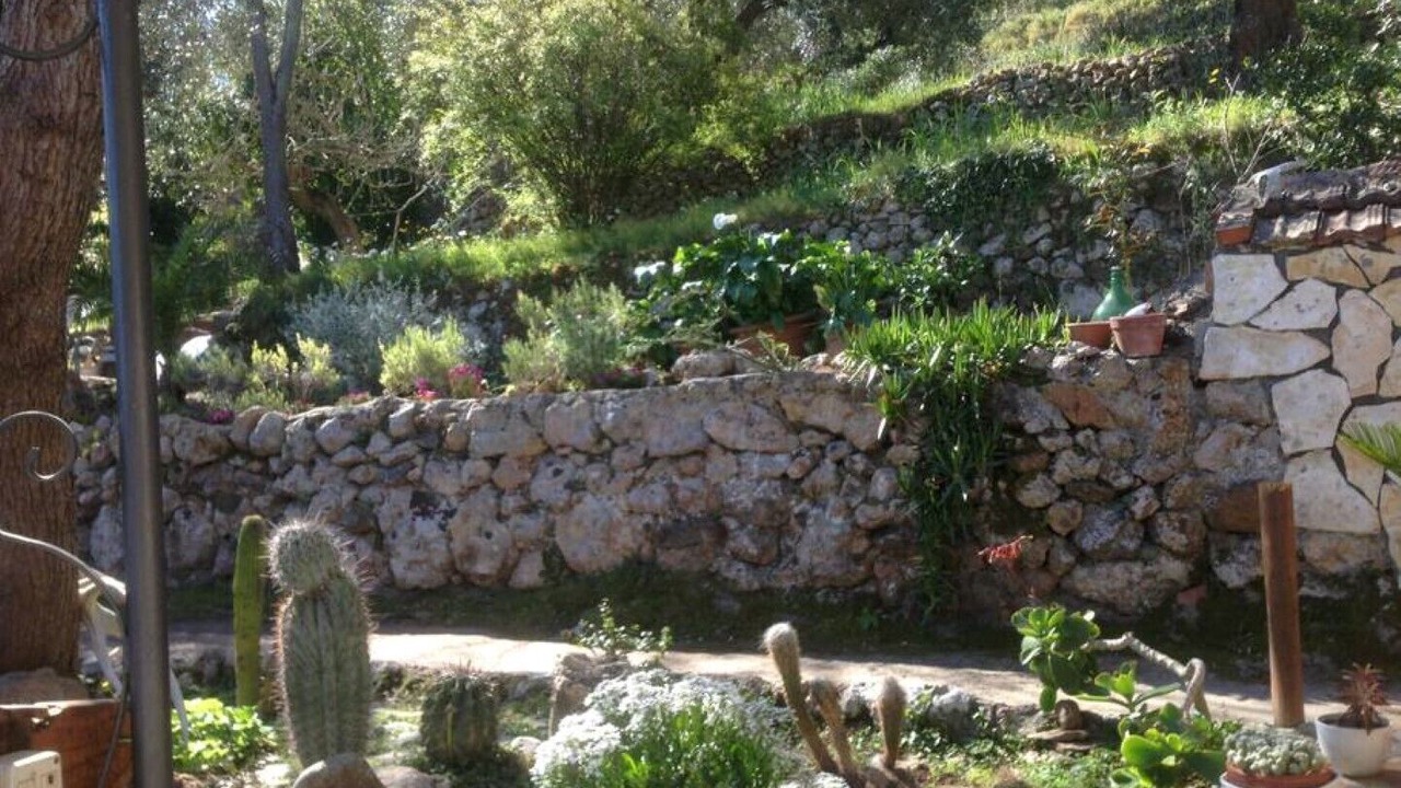 Photo of Outdoor in Porto Santo Stefano